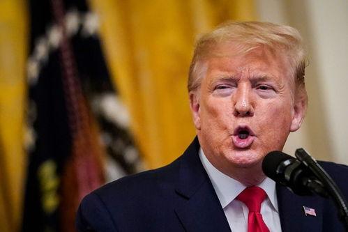 特朗普爆料福克斯视频在线观看  第2张